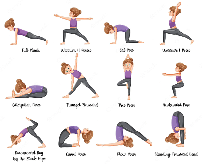 What is Yoga Vinyasa