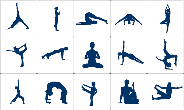 Yoga Sitting Poses